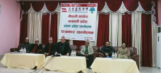 काँग्रेस बागमती प्रदेश सम्मेलन : शेखरलाई दोश्रो वरियता नदिने