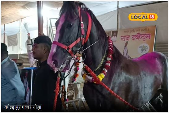 भारतमा भेटियो झन्डै १ करोड मुल्यको घोडा